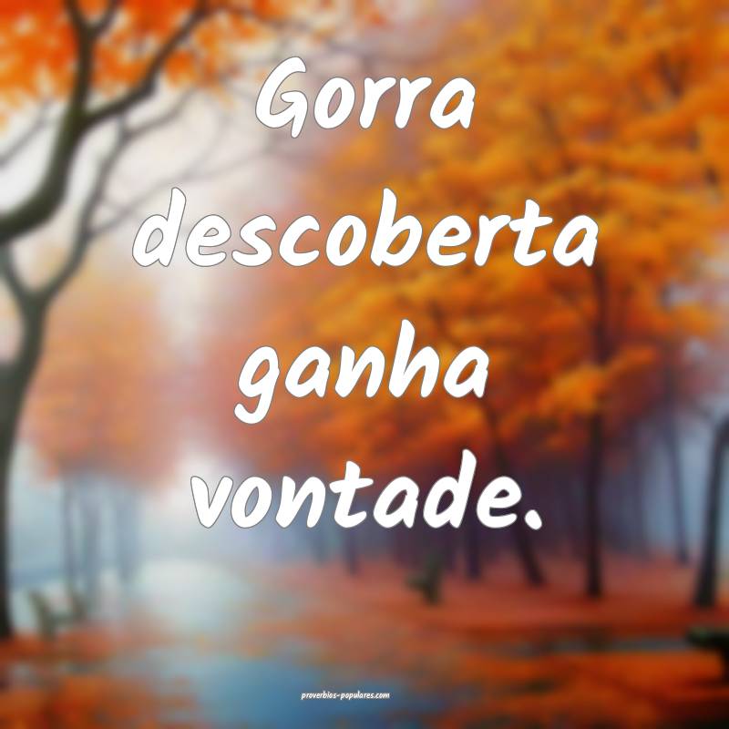 Gorra descoberta ganha vontade.
...