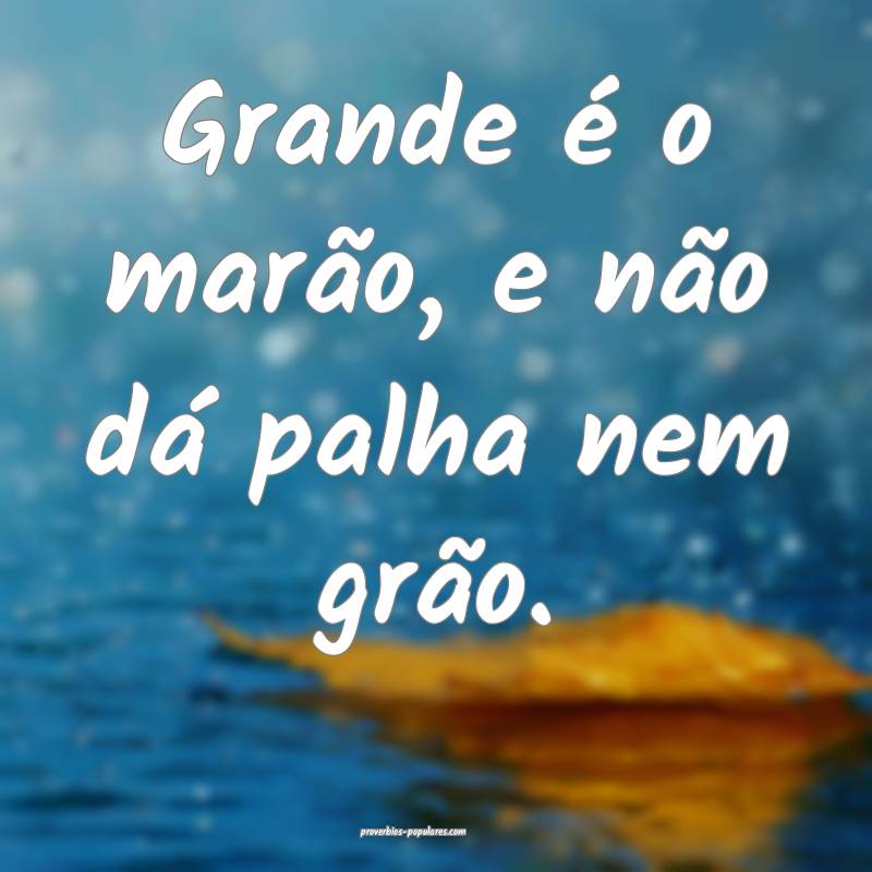 Grande é o marão, e não dá palha nem grão.
...