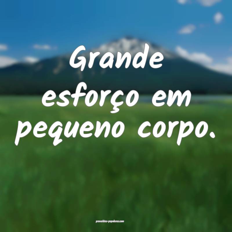 Grande esforço em pequeno corpo.
...