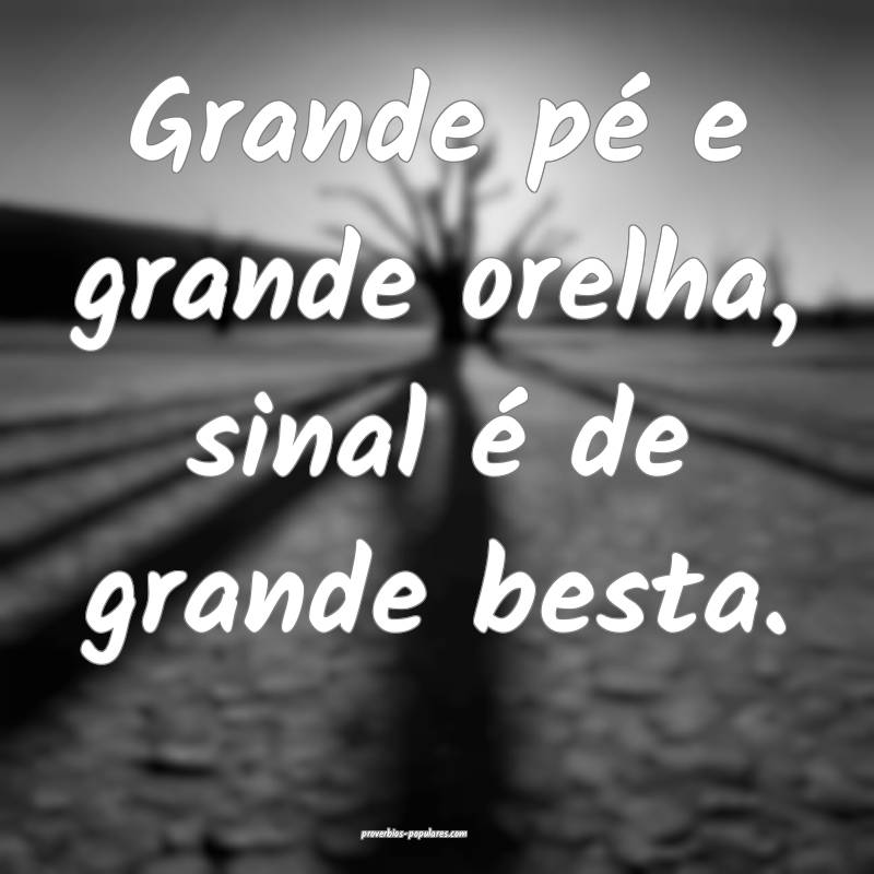 Grande pé e grande orelha, sinal é de grande besta.
...