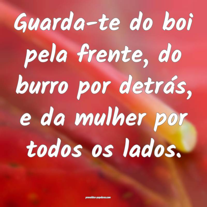Guarda-te do boi pela frente, do burro por detrás, e da mulher por to...