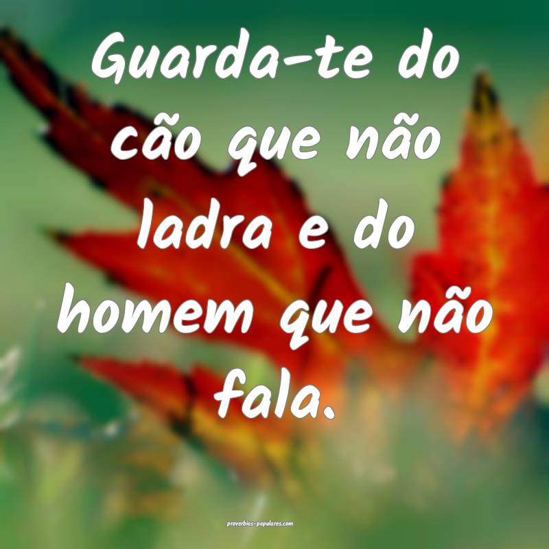 Guarda-te do cão que não ladra e do homem que não fala.
...