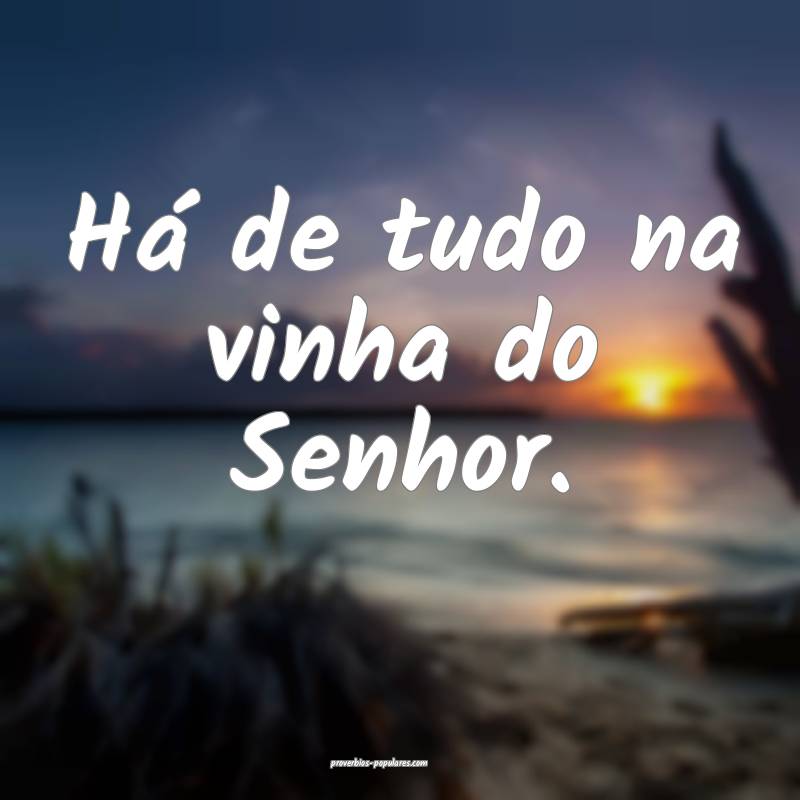 Há de tudo na vinha do Senhor.
 ...