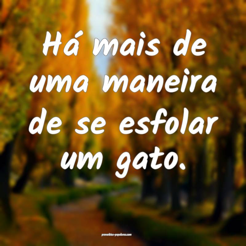 Há mais de uma maneira de se esfolar um gato.
 ...