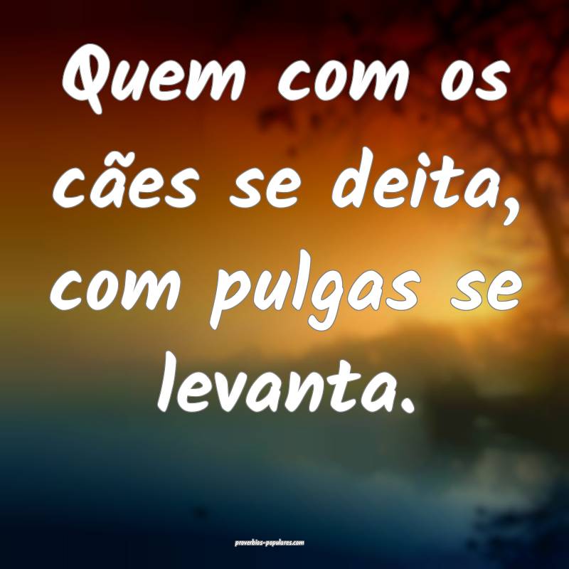 Quem com os cães se deita, com pulgas se levanta. 
...