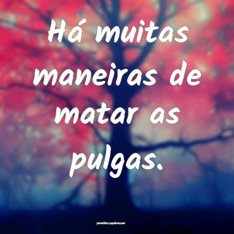 Há muitas maneiras de matar as pulgas.
 ...