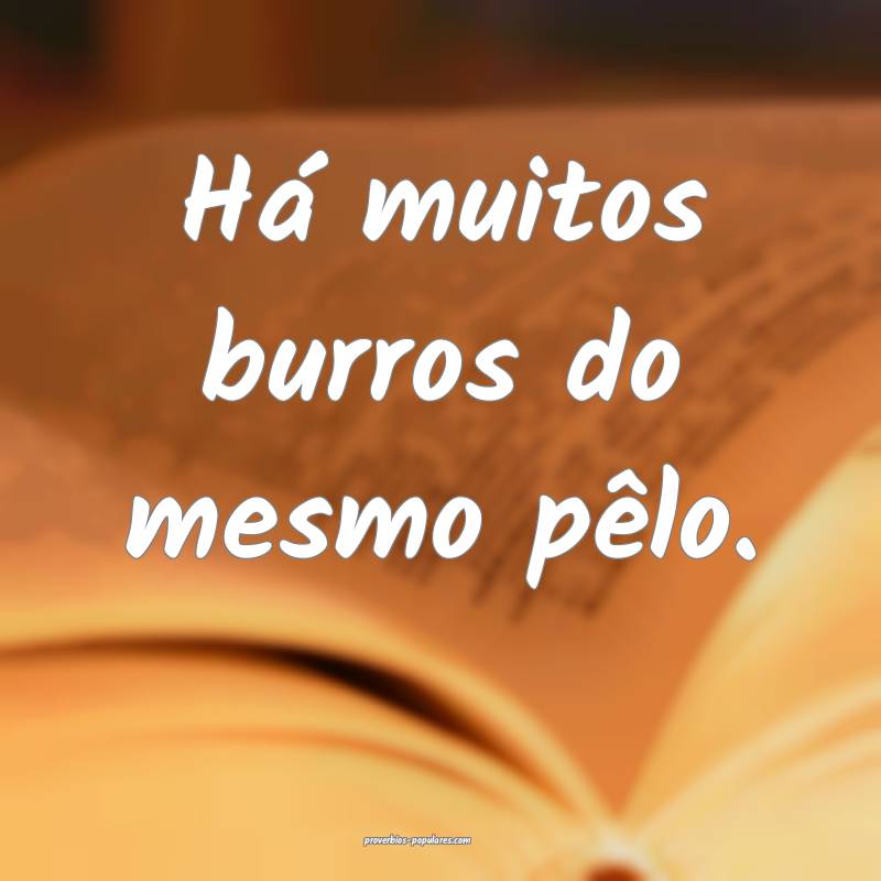 Há muitos burros do mesmo pêlo.
...