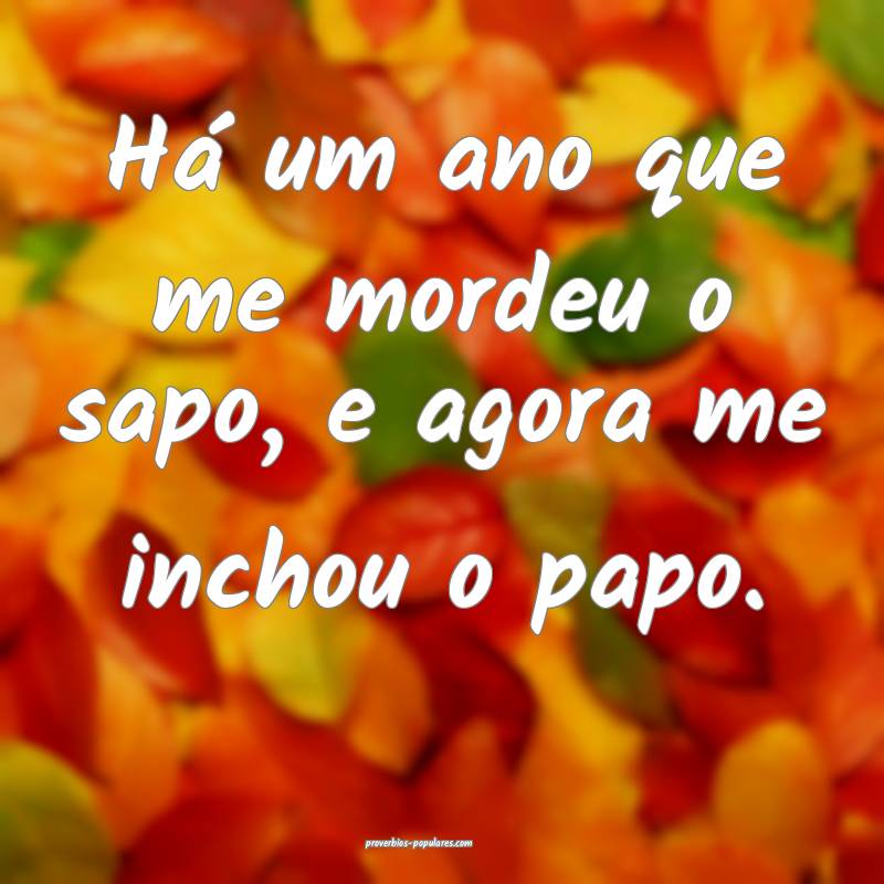 Há um ano que me mordeu o sapo, e agora me inchou o papo.
...