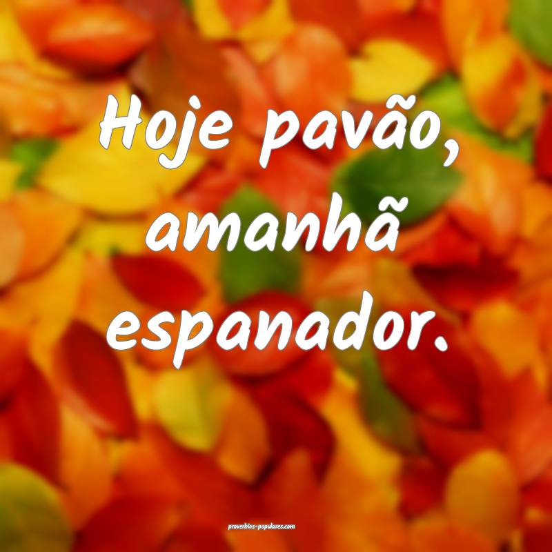 Hoje pavão, amanhã espanador.
...