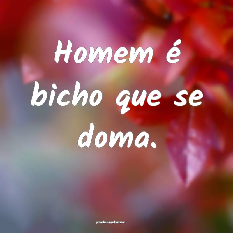 Homem é bicho que se doma.
 ...