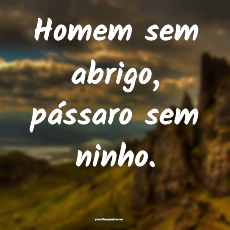 Homem sem abrigo, pássaro sem ninho.
...