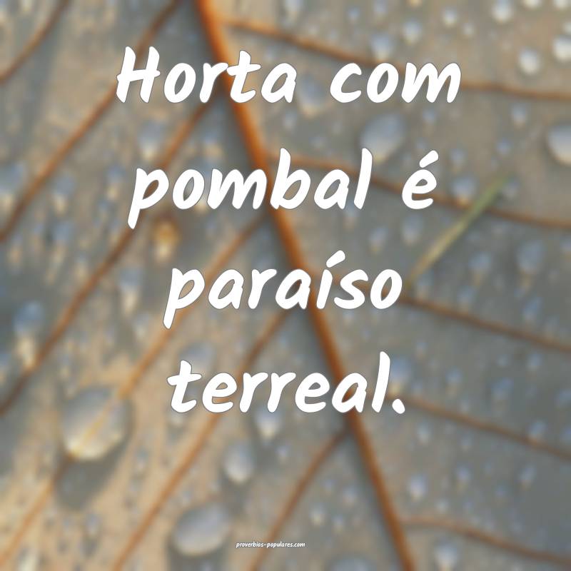 Horta com pombal é paraíso terreal.
...
