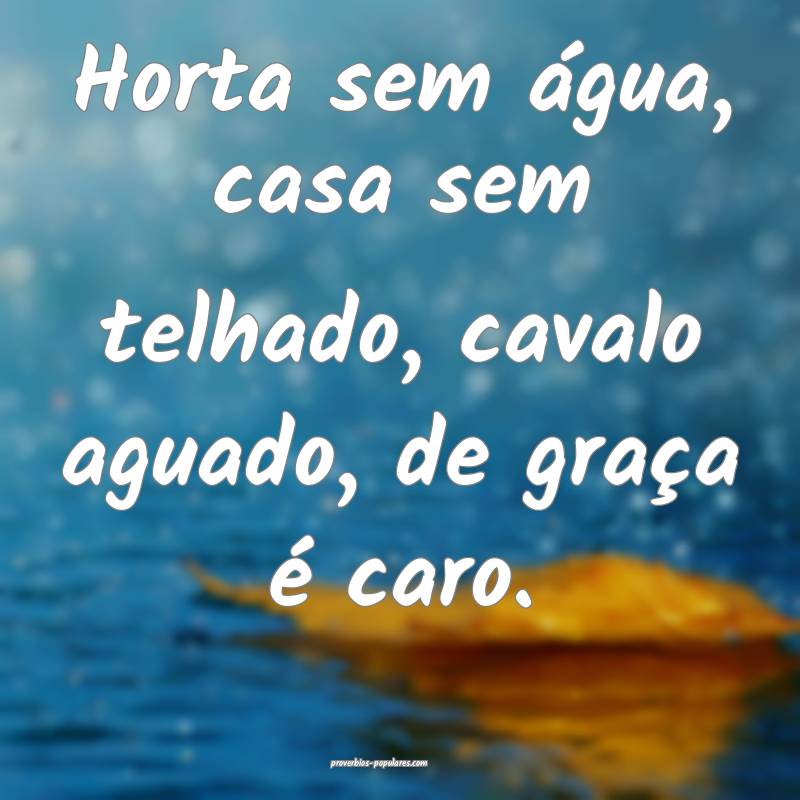 Horta sem água, casa sem telhado, cavalo aguado, de graça é caro.
...