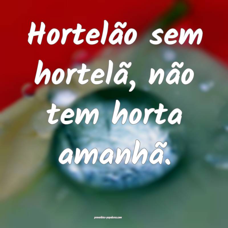 Hortelão sem hortelã, não tem horta amanhã.
 ...