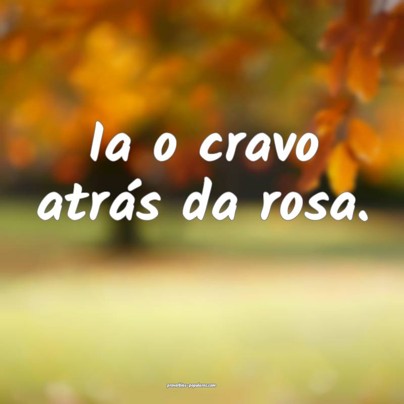 Ia o cravo atrás da rosa.
...