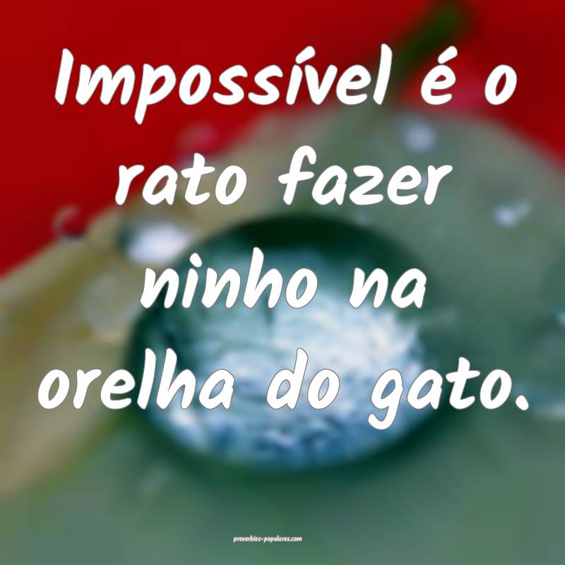 Impossível é o rato fazer ninho na orelha do gato.
...