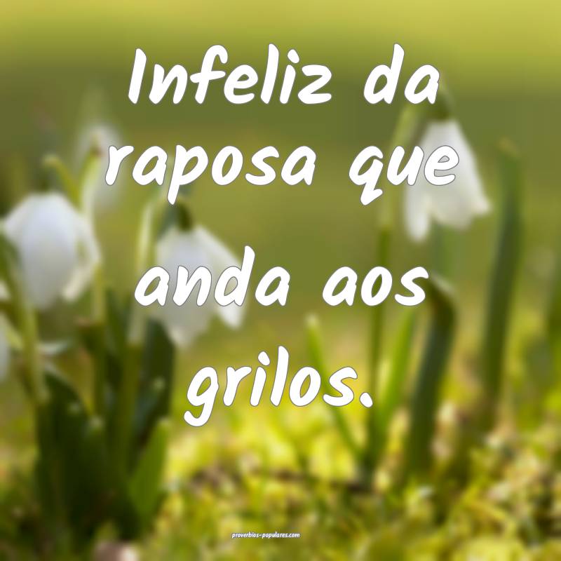 Infeliz da raposa que anda aos grilos.
...