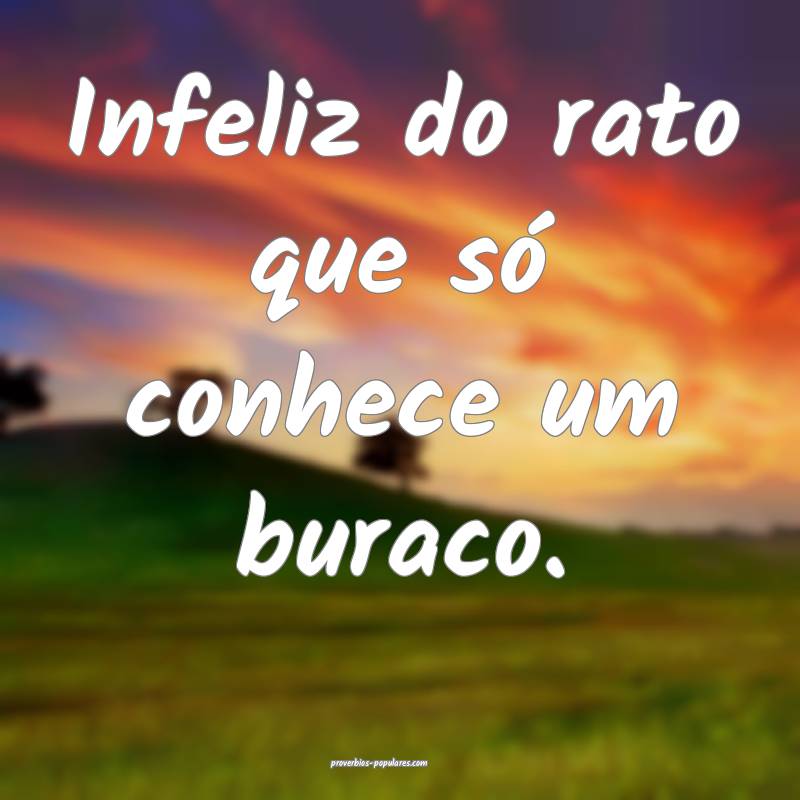 Infeliz do rato que só conhece um buraco.
 ...
