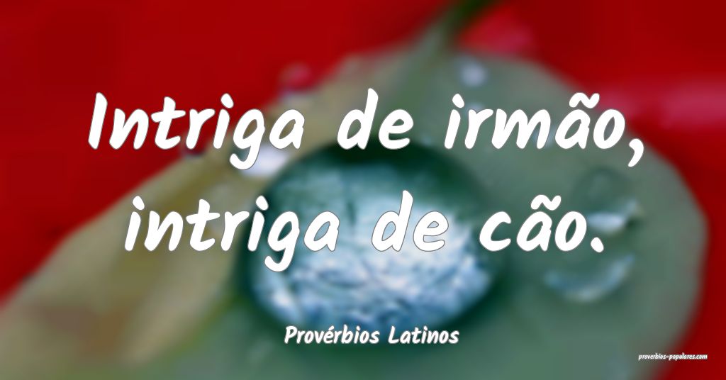 Provérbios Latinos - Intriga de irmão, intriga d ...