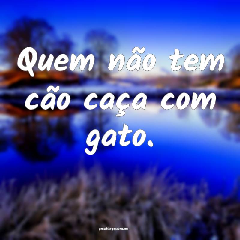 Quem não tem cão caça com gato. 
...
