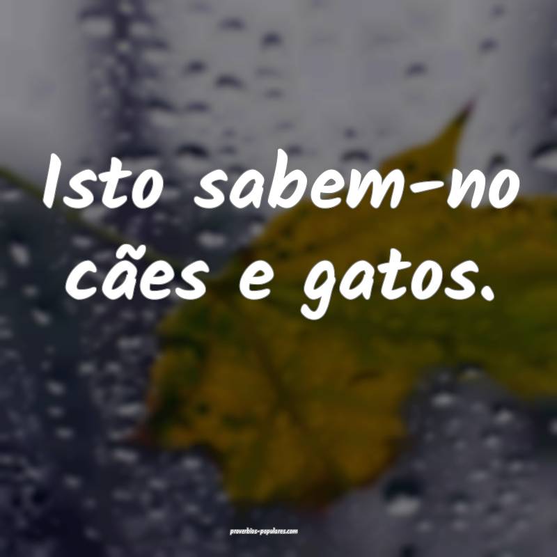 Isto sabem-no cães e gatos.
...