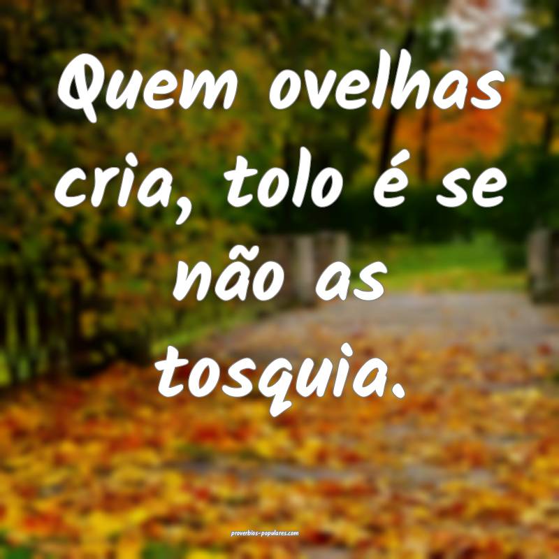 Quem ovelhas cria, tolo é se não as tosquia. 
...