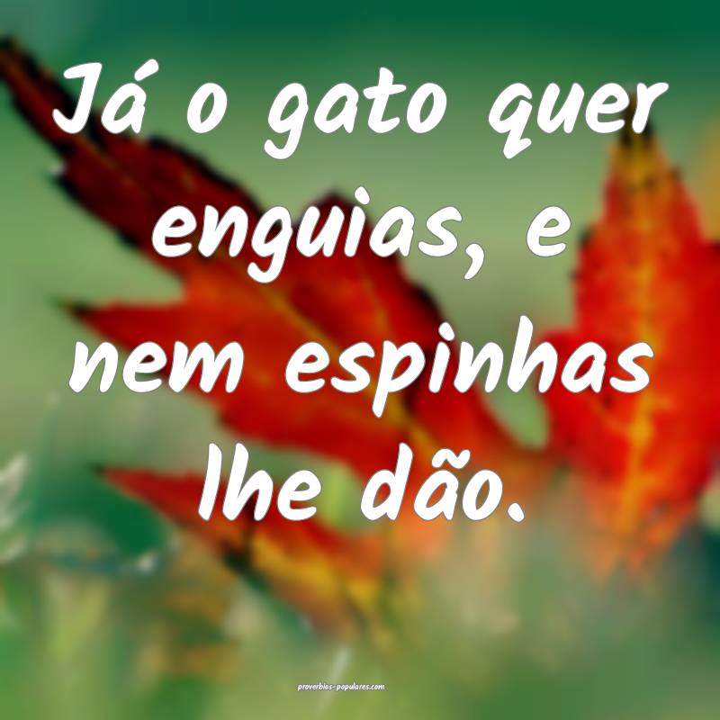 Já o gato quer enguias, e nem espinhas lhe dão.
...