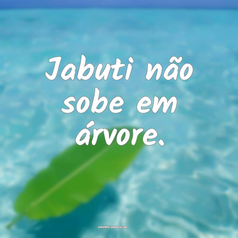 Jabuti não sobe em árvore.
...