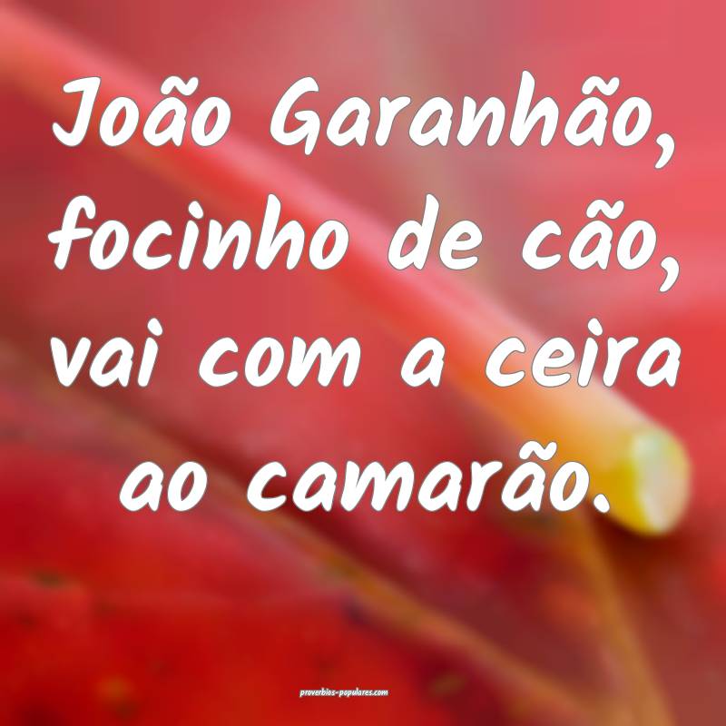 João Garanhão, focinho de cão, vai com a ceira ao camarão.
...