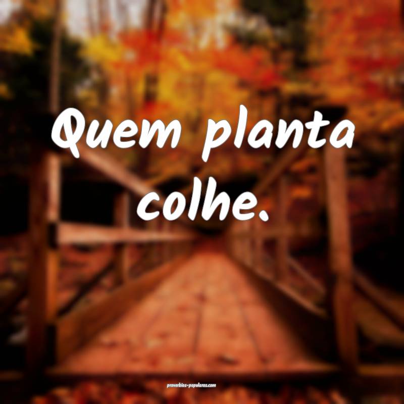 Quem planta colhe. 
...