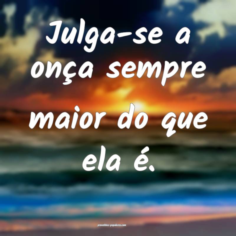 Julga-se a onça sempre maior do que ela é.
...