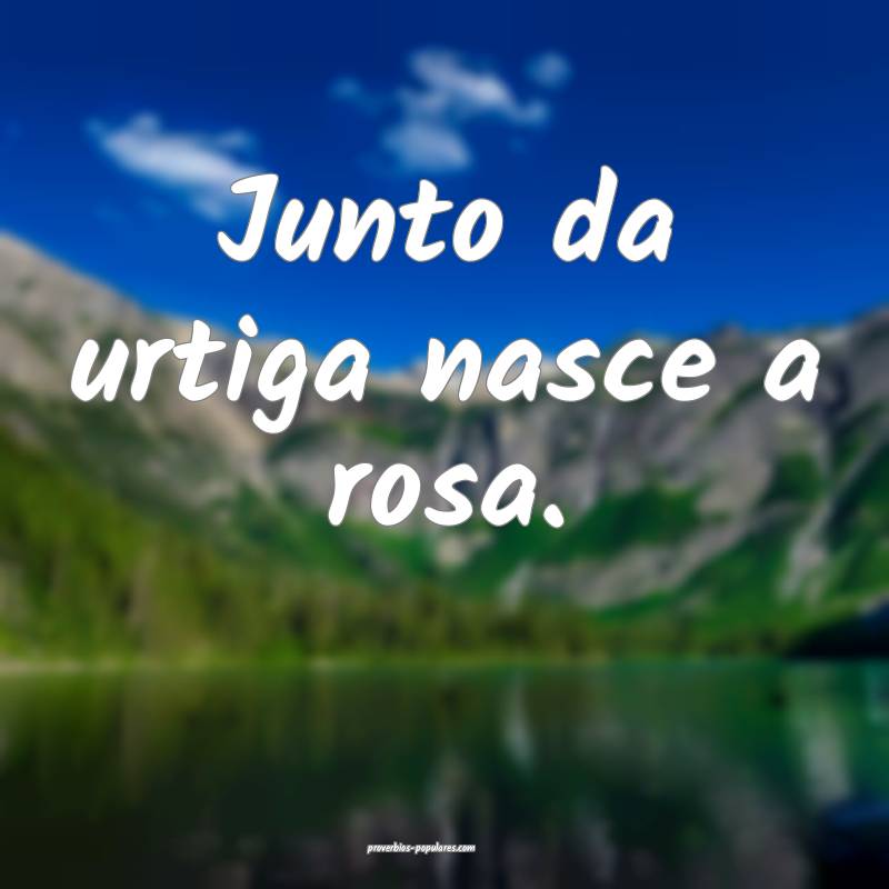 Junto da urtiga nasce a rosa.
...