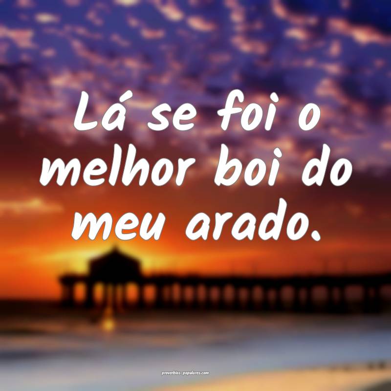 Lá se foi o melhor boi do meu arado.
...