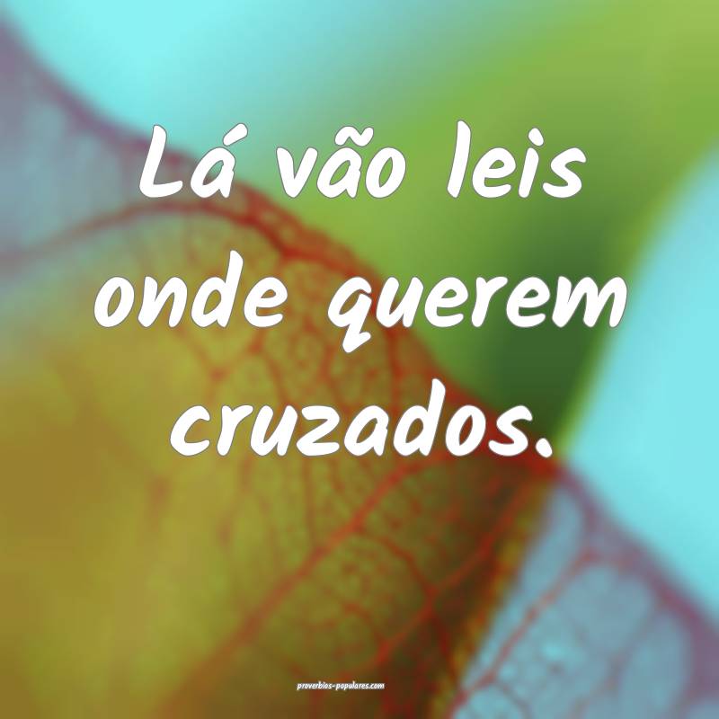 Lá vão leis onde querem cruzados.
 ...