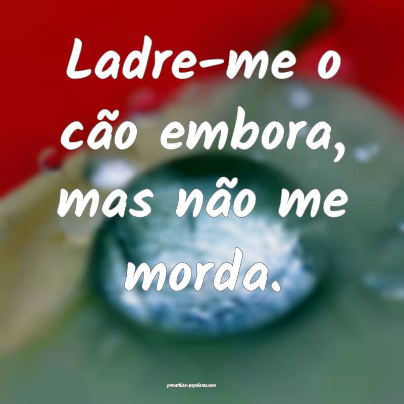 Ladre-me o cão embora, mas não me morda.
...