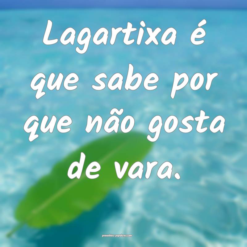Lagartixa é que sabe por que não gosta de vara.
...