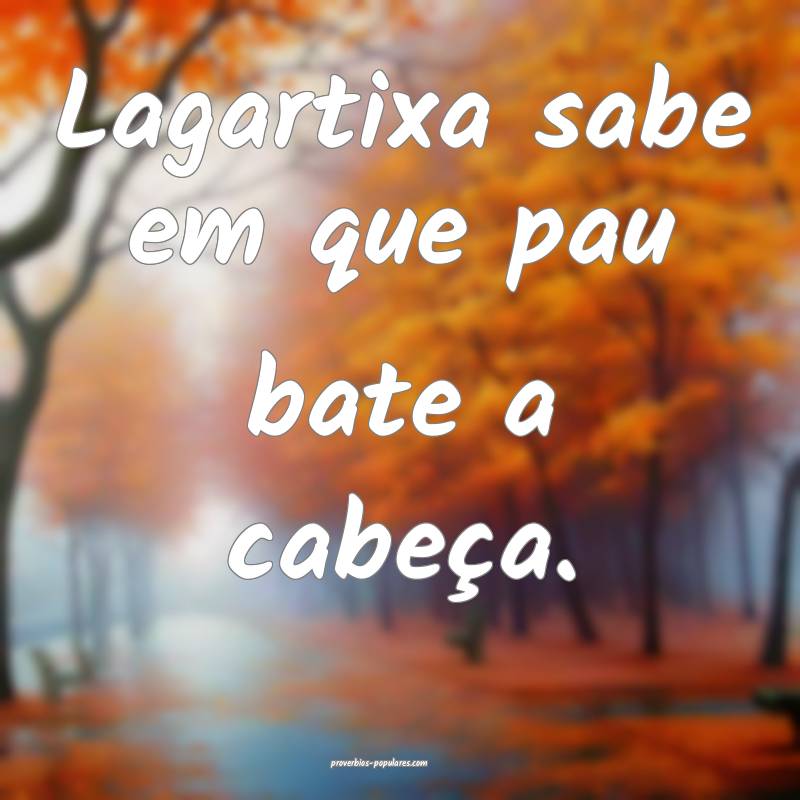Lagartixa sabe em que pau bate a cabeça.
...