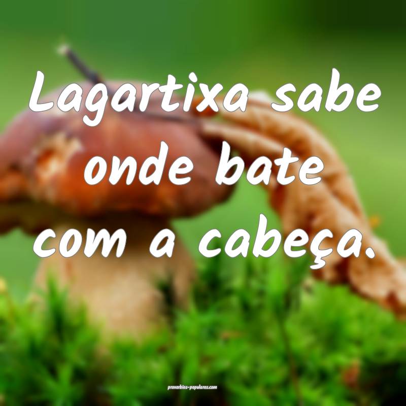 Lagartixa sabe onde bate com a cabeça.
...