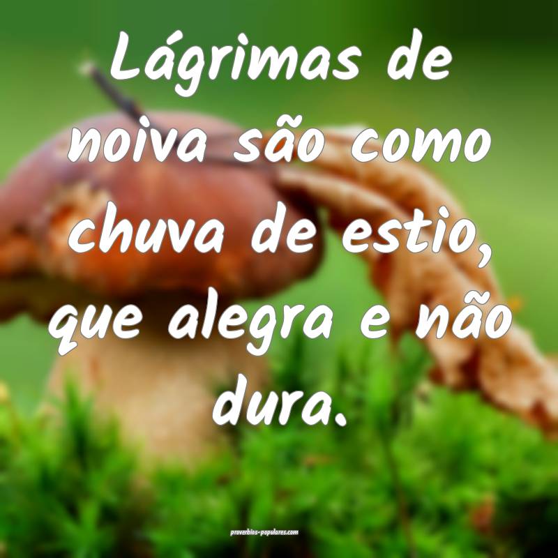 Lágrimas de noiva são como chuva de estio, que alegra e não dura.
...
