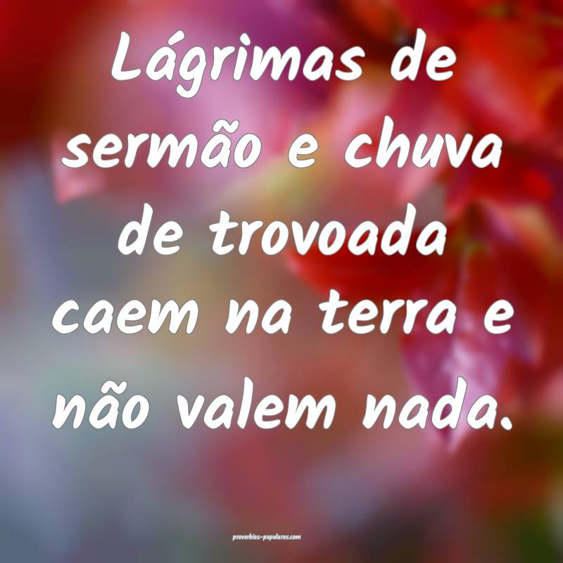 Lágrimas de sermão e chuva de trovoada caem na terra e não valem na...