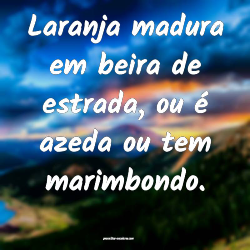 Laranja madura em beira de estrada, ou é azeda ou tem marimbondo.
...