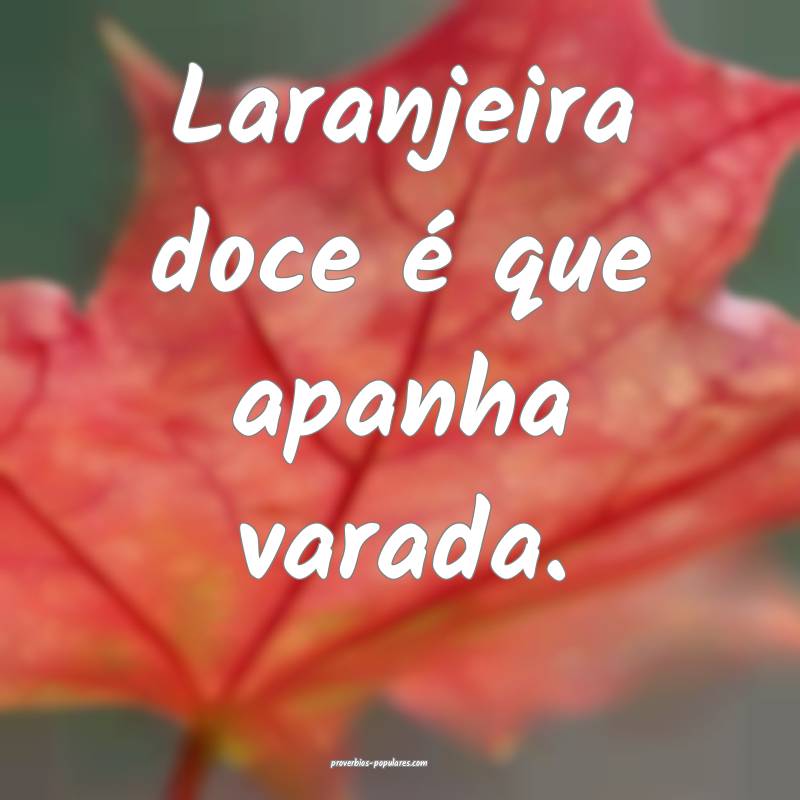 Laranjeira doce é que apanha varada.
...