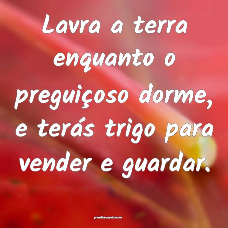 Lavra a terra enquanto o preguiçoso dorme, e terás trigo para vender...