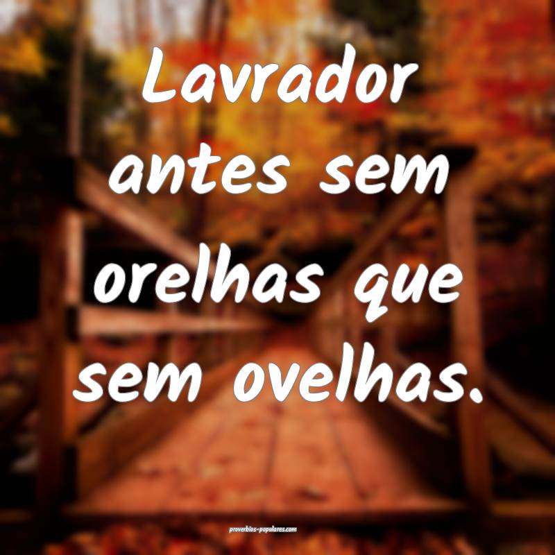 Lavrador antes sem orelhas que sem ovelhas.
...