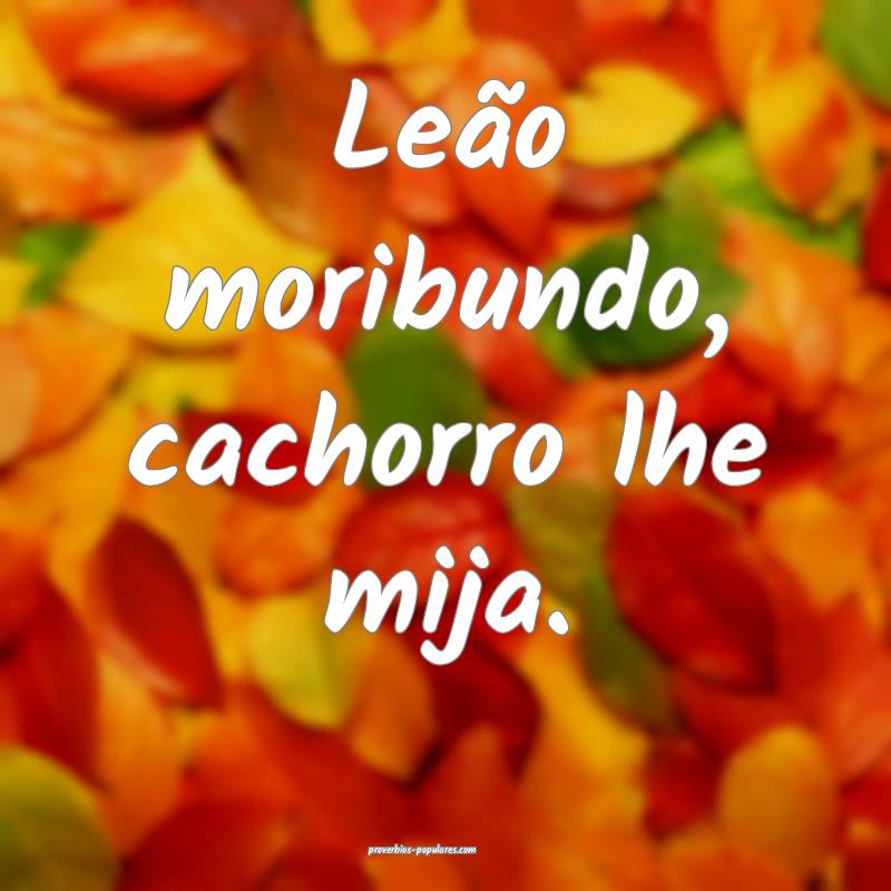 Leão moribundo, cachorro lhe mija.
...