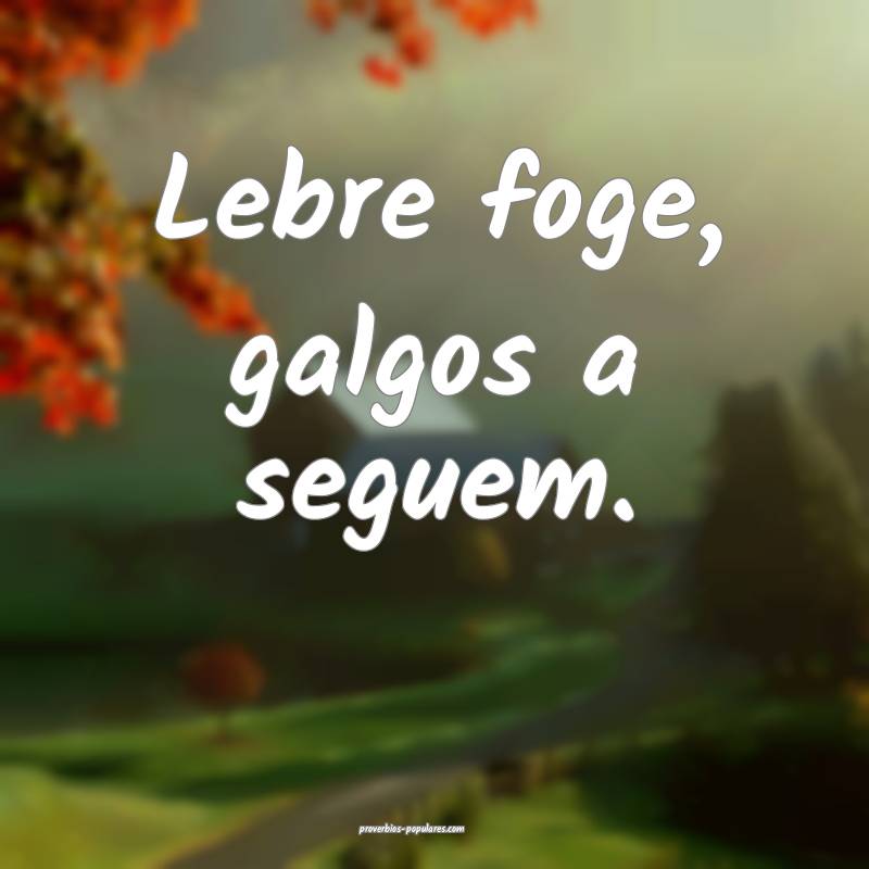 Lebre foge, galgos a seguem.
...