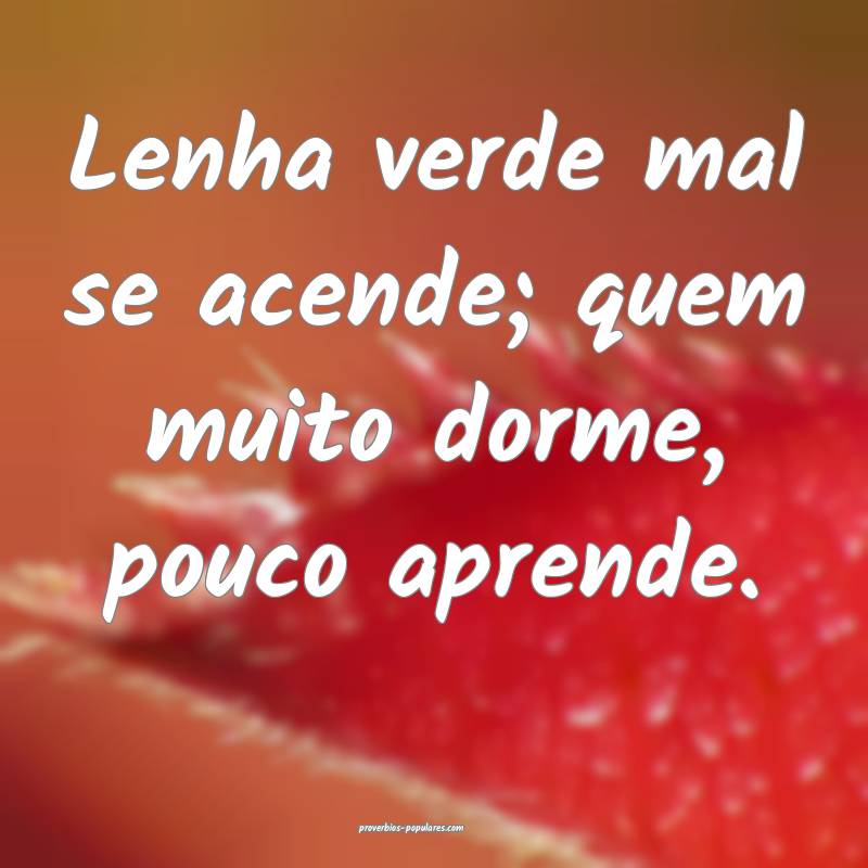 Lenha verde mal se acende; quem muito dorme, pouco aprende.
...