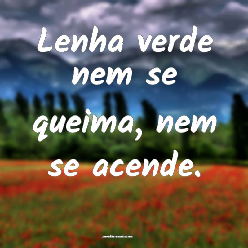Lenha verde nem se queima, nem se acende.
 ...