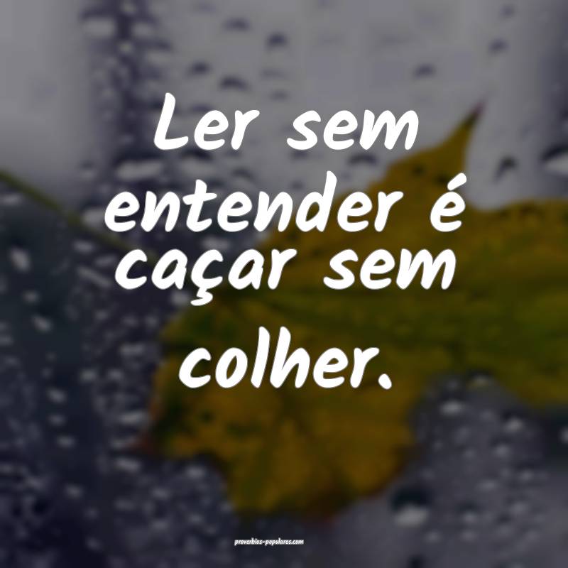 Ler sem entender é caçar sem colher.
...