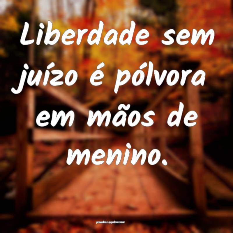 Liberdade sem juízo é pólvora em mãos de menino.
...